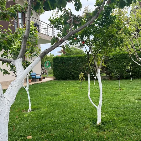 Guesthouse Dimitra *